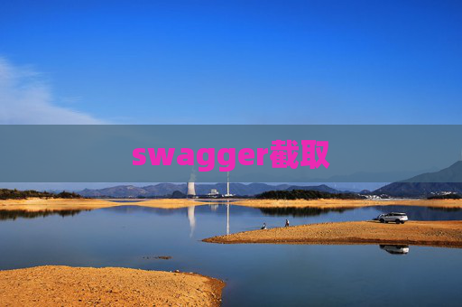 swagger截取